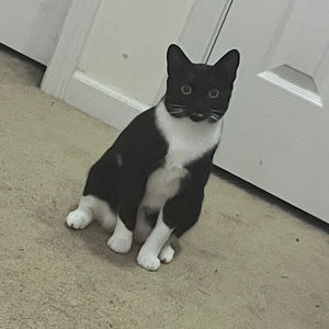 Meet your Posher, Holly